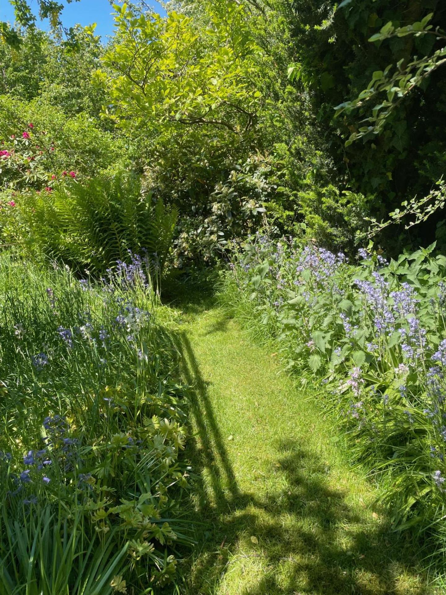 Trennegarden B&B Mjöhult Εξωτερικό φωτογραφία